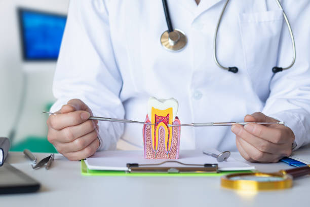 Best 24-Hour Emergency Dentist in Vandalia, IL